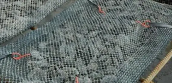 Bandex | Uso de las gomas elásticas de Bandex en la acuicultura Bandex | Uso de las gomas elásticas de Bandex en la acuicultura