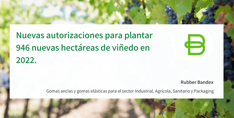 Nuevas autorizaciones para plantar 946 nuevas hectáreas de viñedo en 2022