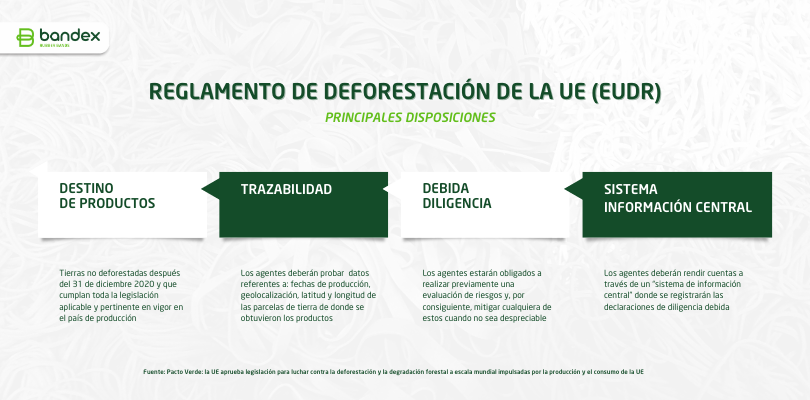 Principales disposiciones incluidas en el reglamento de deforestación de la UE (EUDR) 