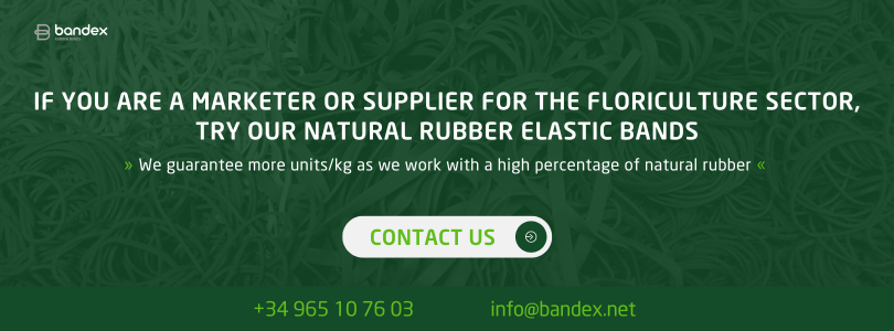 Imagen de Elastic rubber bands: a sustainable option for floriculture