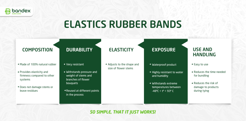 Imagen de Elastic rubber bands: a sustainable option for floriculture