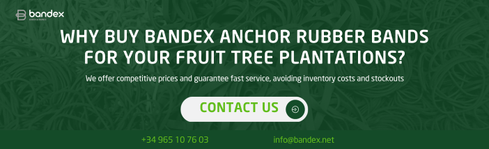 anchor-rubber-band-for-fruit-tree-staking