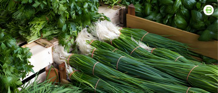 Goma estándar para el atado de hierbas aromáticas y medicinales | Elastic Band for tying aromatic and medicinal herbs